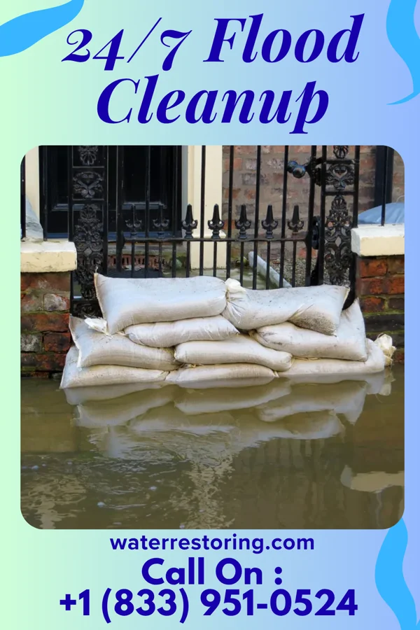 24/7 Flood Cleanup in Shorewood Forest, IN