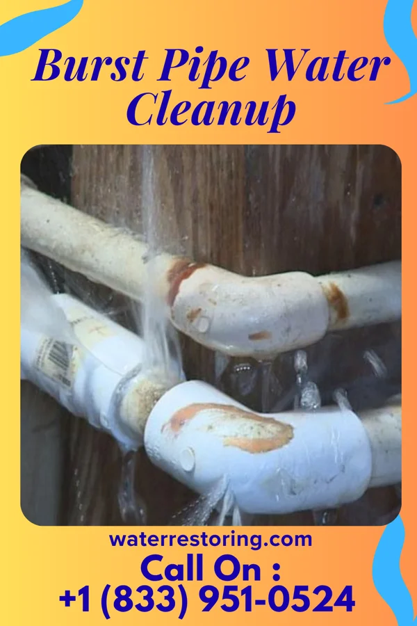 Burst Pipe Water Cleanup in Shorewood Forest, IN