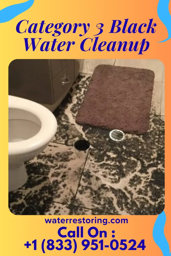 Category 3 Black Water Cleanup in Shorewood Forest, IN