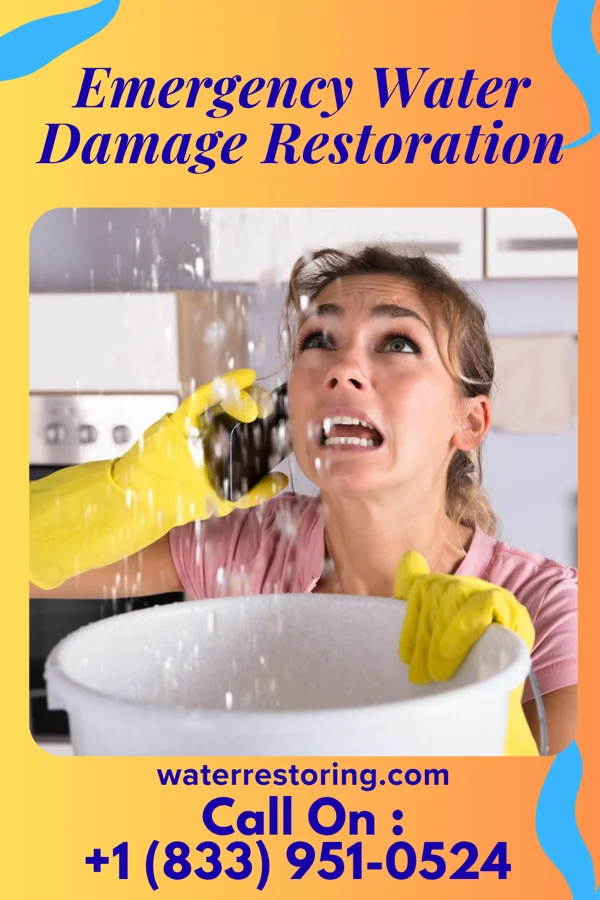 Emergency Water Damage Restoration in Shorewood Forest, IN
