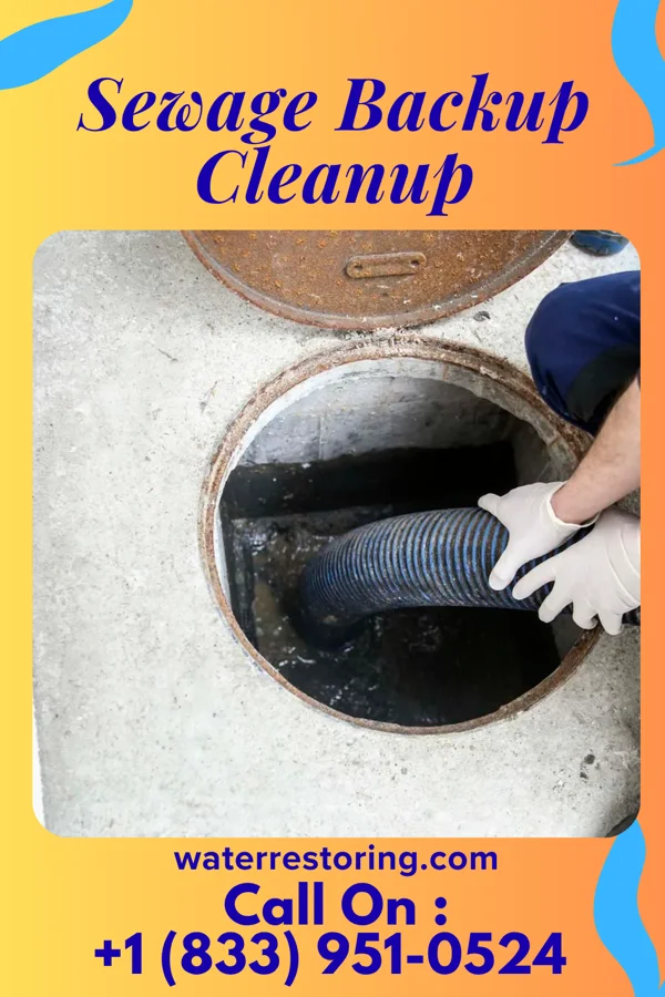 Sewage Backup Cleanup in Shorewood Forest, IN