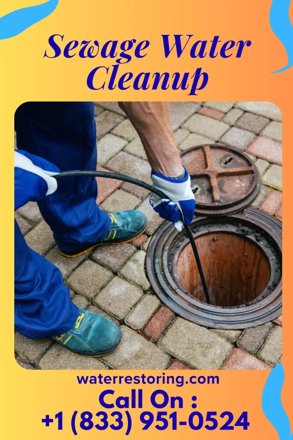 Sewage Water Cleanup in Shorewood Forest, IN